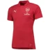 Anh đặt hàng chính hãng Áo sơ mi ngắn tay thể thao và giải trí ngắn tay chính hãng Puma18-19 của Arsenal áo phông polo nữ Áo polo thể thao