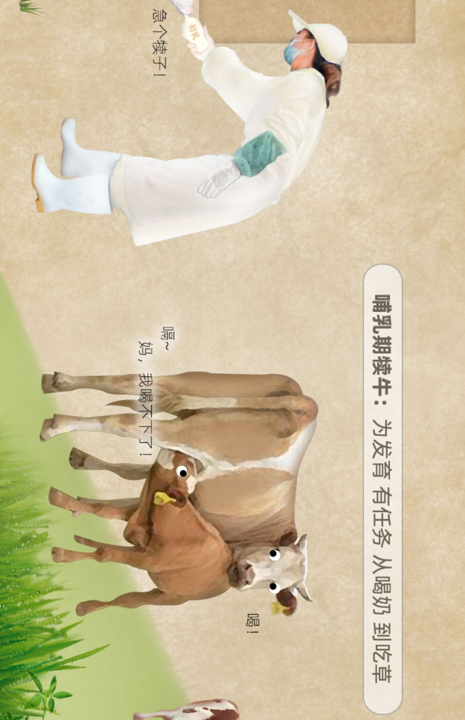 【纯牛奶15瓶】夏进全脂营养奶