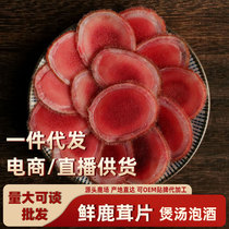 Antler Slice Antler Bubble Wine Special Plum Blossom Deer Antler Slice Antler Slice Bubble Water Drinking Antler How Much Money A Catty