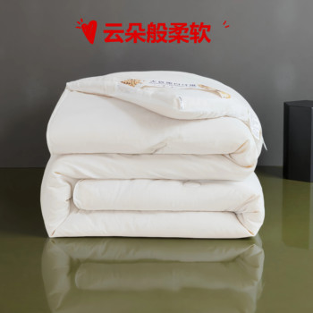 Thickened Quilt Core for Warmth, Hotel White Summer Air-Conditioned Quilt, Single Student Dormitory Spring and Autumn Quilt, Suitable for All Seasons