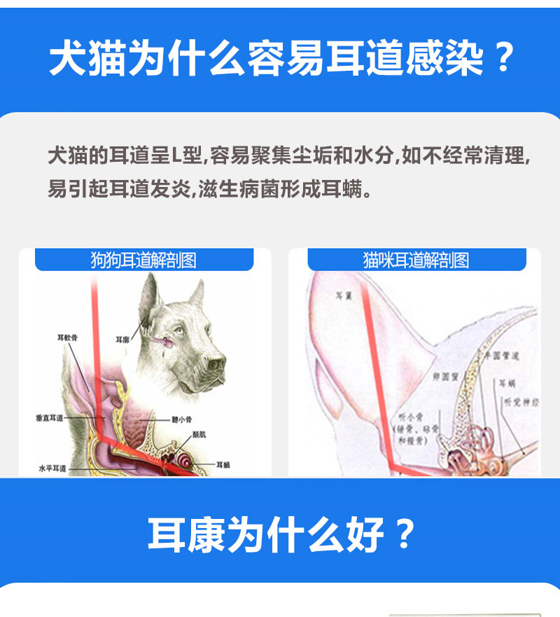 Tai chó nhỏ tai mèo sạch mèo trừ điếc teddy lông vàng viêm tai chống viêm rửa thú cưng - Cat / Dog Medical Supplies Dụng cụ thú y giá sỉ