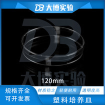 High Quality-Plastic Petri Disposable Petri Disposable Petri Plate 120mm 12cm 10 Pack Sterilization