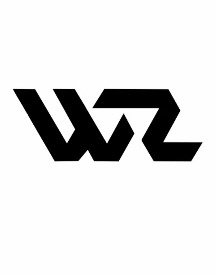 WZDAYU的LOGO