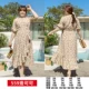 559 Lococo