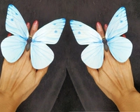 1 пары, диаметр 13.5мм, 13.5см