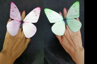 Бабочка Юнь [Порошок 1 зеленый, 1] Бабочка пальца 1 пара диаметром около 13,5 см