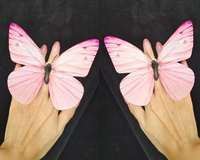 1 пары, диаметр 13.5мм, 13.5см