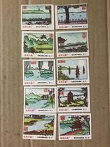 Hangzhou Flower Association 10th Anniversary Hangzhou Match 10*1