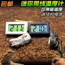 Climbing pet thermometer household high precision refrigerator electronic thermometer fish tank cold storage pet freezer high temperature resistance
