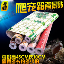 Reptile box landscaping background wallpaper wallpaper tortoise lizard crawling box decoration