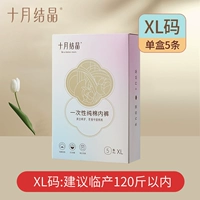 XL (в пределах 110 фунтов)