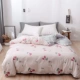 Sữa san hô nhung chăn mảnh duy nhất của hai mặt cashmere lông chăn đôi đơn tinh nhung Falaifalan mùa đông - Quilt Covers chăn mỏng