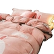 Sữa san hô nhung chăn mảnh duy nhất của hai mặt cashmere lông chăn đôi đơn tinh nhung Falaifalan mùa đông - Quilt Covers chăn mỏng Quilt Covers