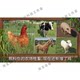 Farming Simulator 2023 Chinese Version of the Simulation Game for Android Phones