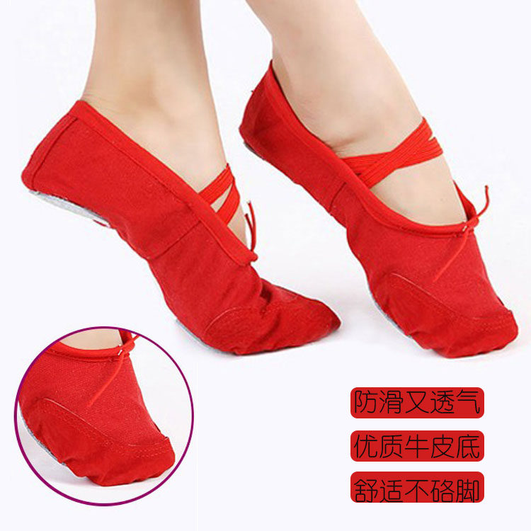 Belly Dancing Adult Dance Shoes Soft Bottom Shoes Women's Dance Shoes Cloth Shoes Ballet Dancer Dancing Shoes Latin Dance