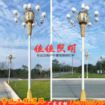 6 meters 8 meters 10 meters led Chinese lamp Magnolia lampshade outdoor waterproof landscape square light City road high pole lamp