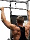 Integrated Trainer Handle, Bird Mechanical Parts, Rowing Pull-Down Back Pull Parts, Large Strength Fitness Equipment Handle