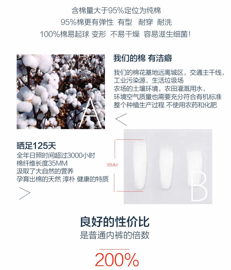 Slip jeunesse CRAB SECRET SHS-rainbow en coton - Ref 668550 Image 8