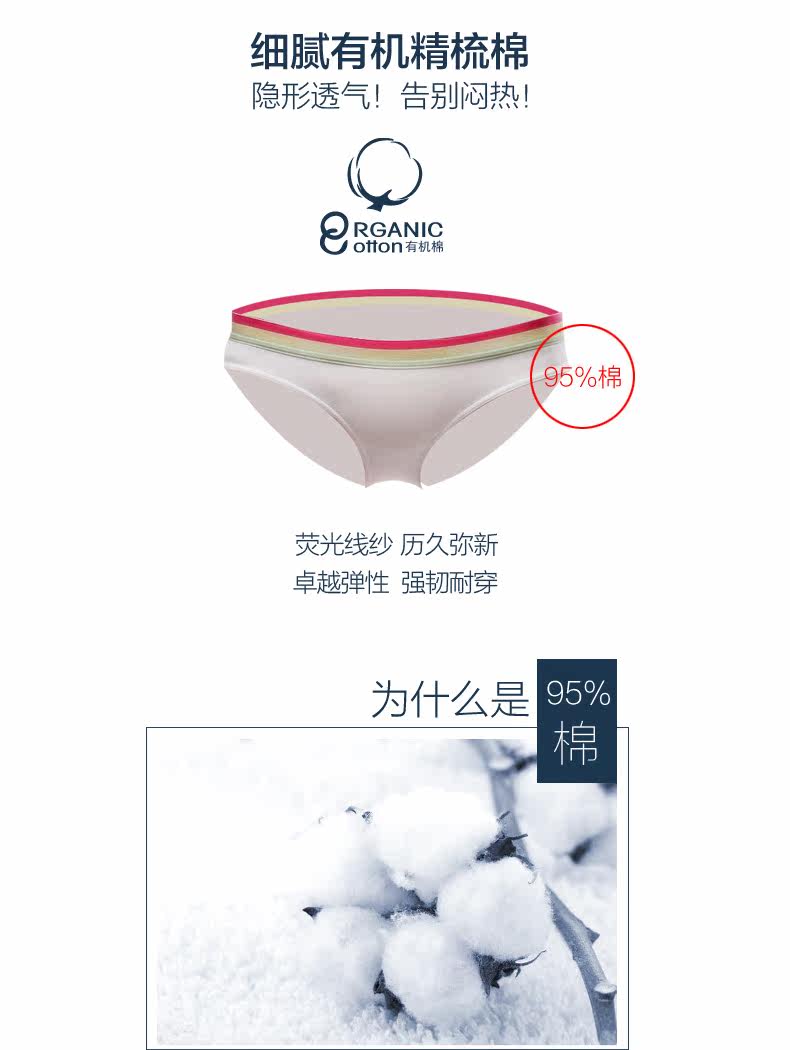 Slip jeunesse CRAB SECRET SHS-rainbow en coton - Ref 668550 Image 7