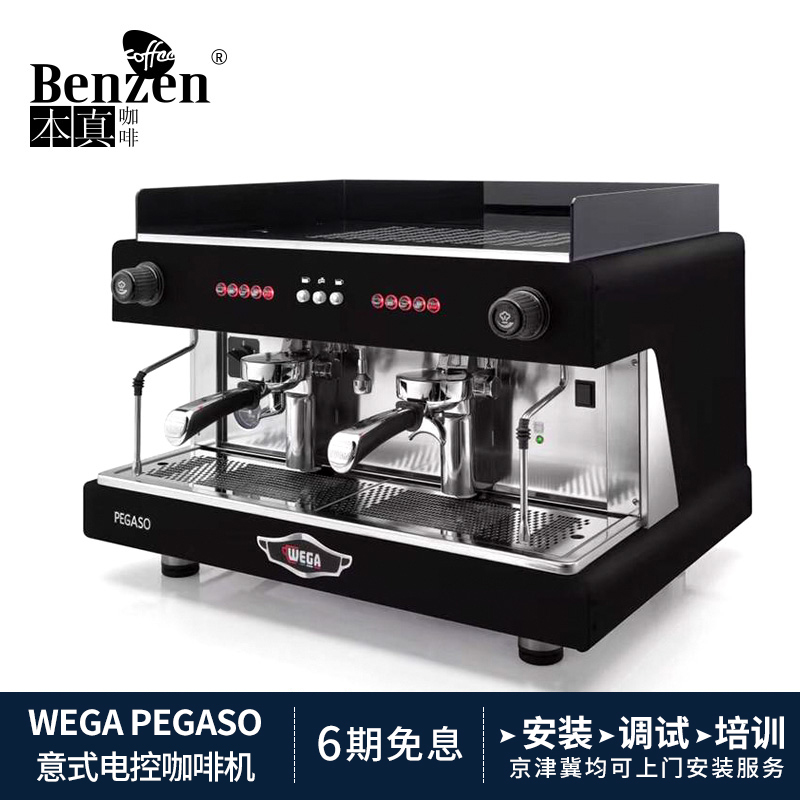 WEGA PEGASO professional Italian double-headed coffee machine High cup electronic control version Professional semi-automatic coffee machine