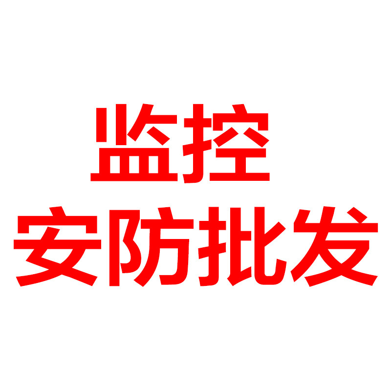 安防监控批发店铺