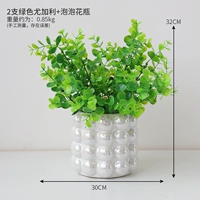 2 крупнолистных зеленых цветочных горшка с пузырьками, домашние горшечные растения