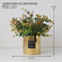 3 эвкалипта, серого, оранжево-золотого, непористого домашнего растения в горшке