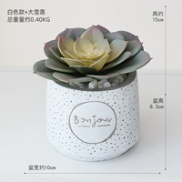 Белая модель+daxue lotus