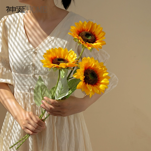 Подсолнечная симуляция цветочные качели гостиная.