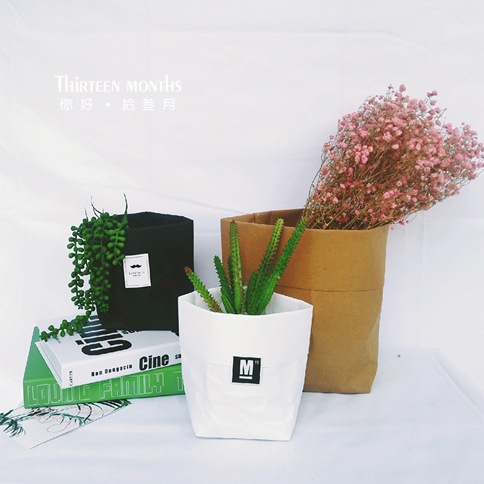 Kraft paper bag Nordic washable tear-proof storage bag creative flowerpot home decoration shooting props