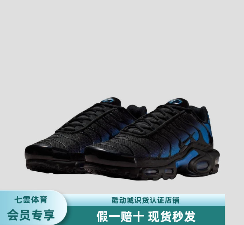 Nike Air Max Plus Running Shoes Black/Crystal Blue Dm0032-041