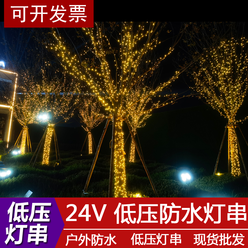 Low-voltage 24Vled outdoor waterproof starry lights string lights flashing lights meteor shower lights Christmas decoration lights