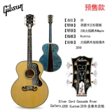 Гибсон Gypson Hummingbid