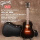 1934 Gumbo Sunset Color против американских продуктов All Singles Guitar