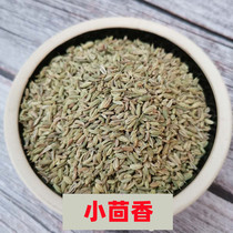 Fennel New Guangxi Sincense Etagonal Spice seasoning Daquan Marinated Meat Grilled Dipping Cumin 50g