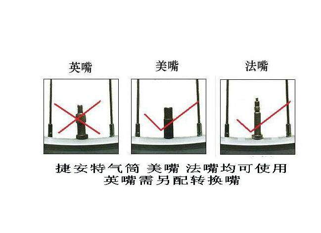 Pompe à vélo BETO - Ref 2389133 Image 11