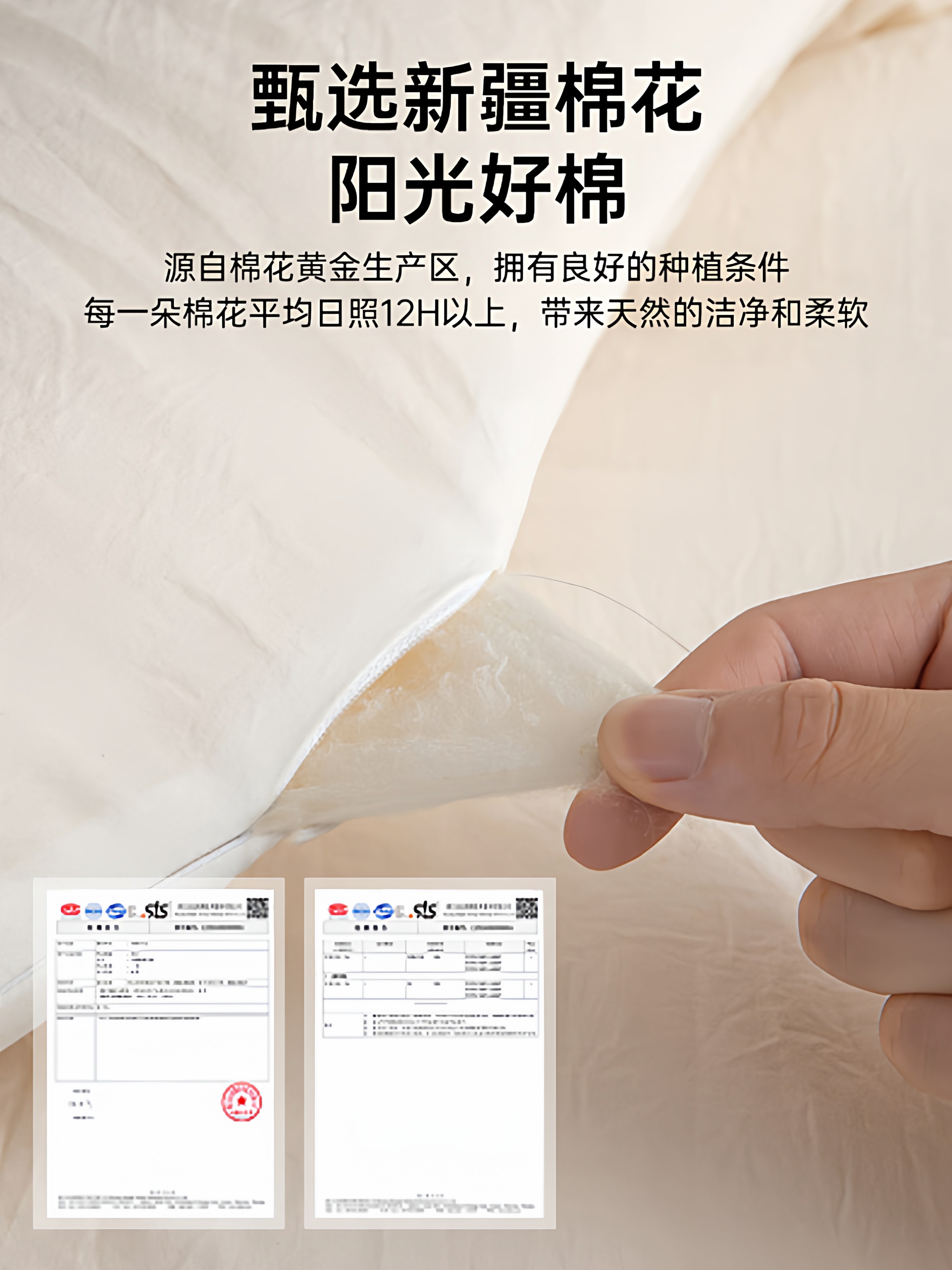 Muji Xinjiang Cotton Quilt Core Autumn and Winter Quilt Thickened Warm All-Cotton Pure Cotton Student Dormitory Spring and Autumn Quilt