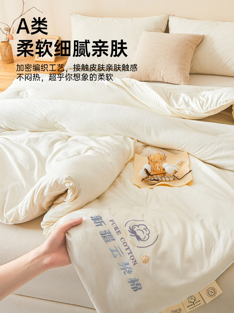 Muji Xinjiang Cotton Quilt Core Autumn and Winter Quilt Thickened Warm All-Cotton Pure Cotton Student Dormitory Spring and Autumn Quilt