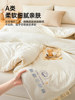 Muji Xinjiang Cotton Quilt Core Autumn and Winter Quilt Thickened Warm All-Cotton Pure Cotton Student Dormitory Spring and Autumn Quilt