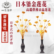 Japanese Nasturtium Golden Lotus Temple Buddha hall supplies Large regular flower Nasturtium big black Sky God of Wealth for regular flower