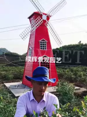 Manufacturers spot anti-corrosion wood windmill watermill large landscape windmill Dutch windmill pastoral beautiful country windmill