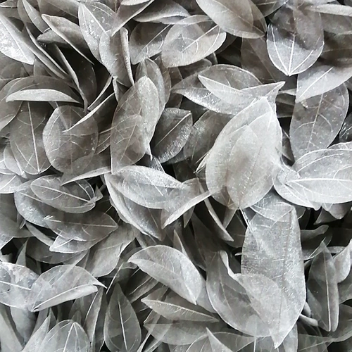 Золотая листья вена Листь