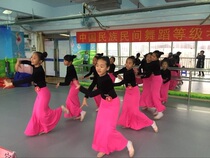 Adult children Dai ethnic dance performance Costume Folk Dance Practice clothes pure color High elastic Dai ethnic fish tail skirt woman