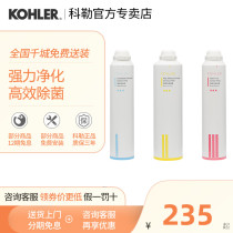 Kohler water purifier filter core activated carbon accessories KP040 KP050 water dispenser consumables 80031T 80041T