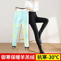Cotton pants woman winter plus suede thickened underpants outside wearing high waist Northeast big code Roman phantom cashmere warm pants
