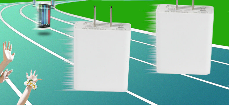 chargeur RYDBATT - Ref 1292293 Image 11