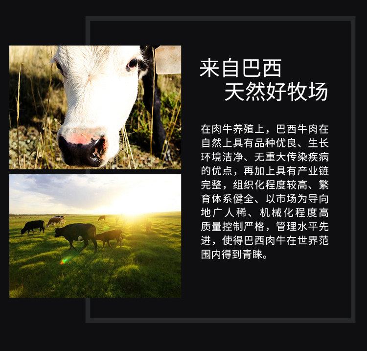 北京奥运会牛肉供应商  伊赛 巴西进口 原切牛腩块 图4