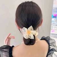 Белый цветок