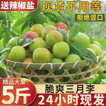 March Li Zi fresh fruit Morning cooked Sanhua cherry green red Li Simé whole box crisp and now off