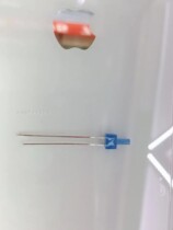 Light emitting diode led in-line lamp beads 2mm high flat head with color red hair red blue hair blue green hair green long feet